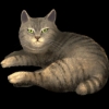 SaGa: Emerald Beyond (SaGa: EB) - Pixie Bob (Kitty Collector)